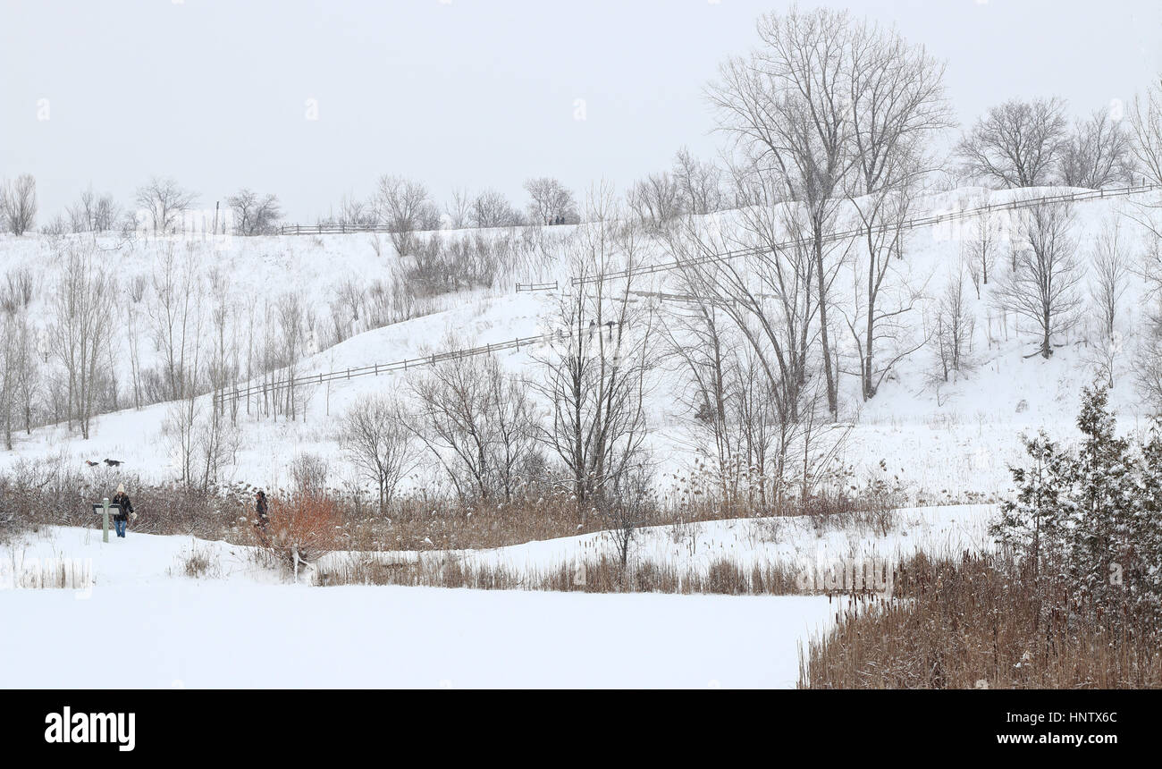 Les gens et les chiens sur le sentier de randonnée dans la neige. Banque D'Images