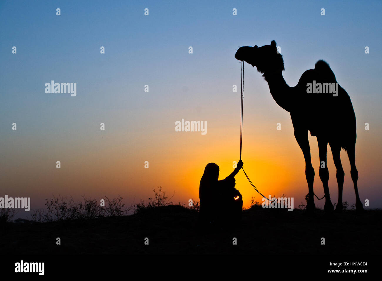 Une silhouette classique de Pushkar, une dame tenant la bride d'un chameau, un enfant sur ses genoux, coucher de soleil, lumière dorée et bleu ciel Banque D'Images