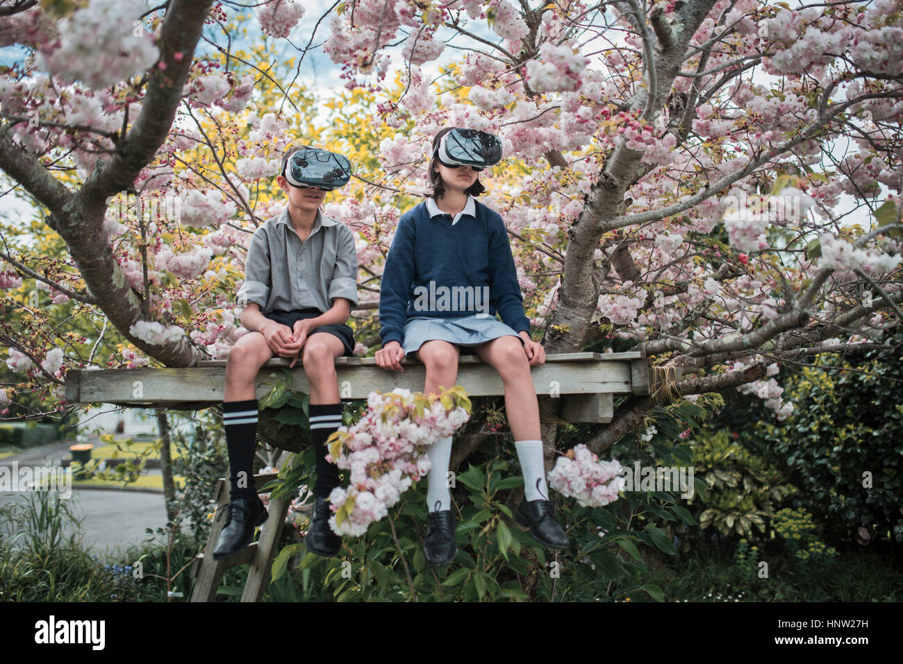 Mixed Race brother and sister sitting in tree portant des lunettes de réalité virtuelle Banque D'Images