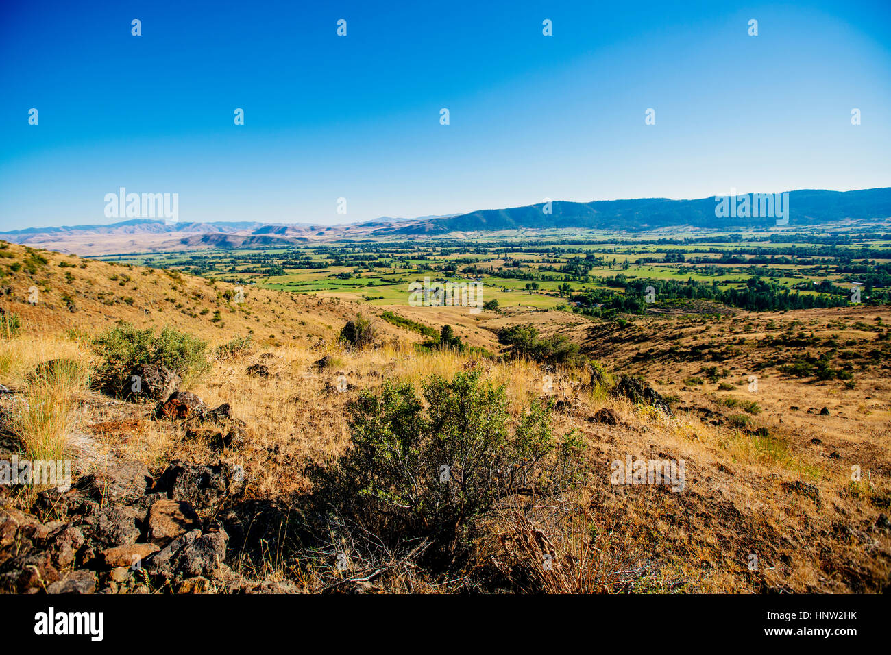 Vue panoramique de paysage, à mi-chemin, Oregon, United States Banque D'Images
