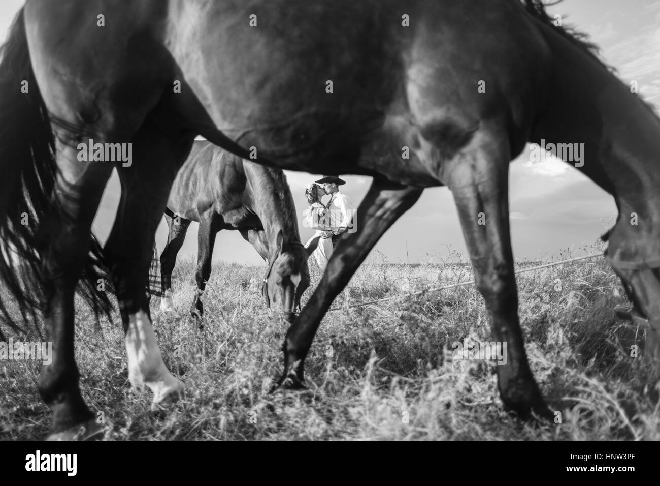Les chevaux lointain encadrement Caucasian couple kissing Banque D'Images