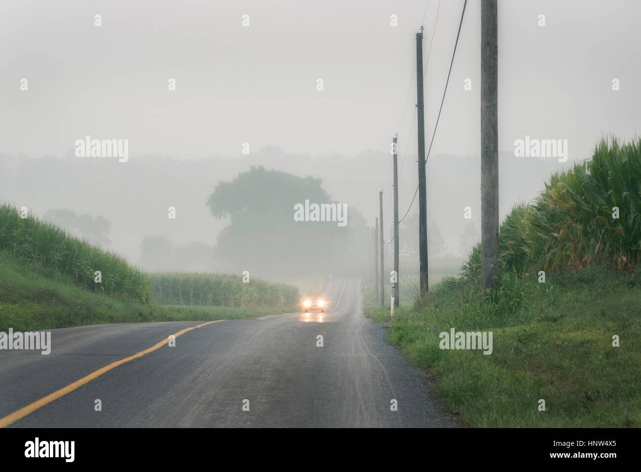 L'approche de voiture sur route à deux voies de brouillard Banque D'Images