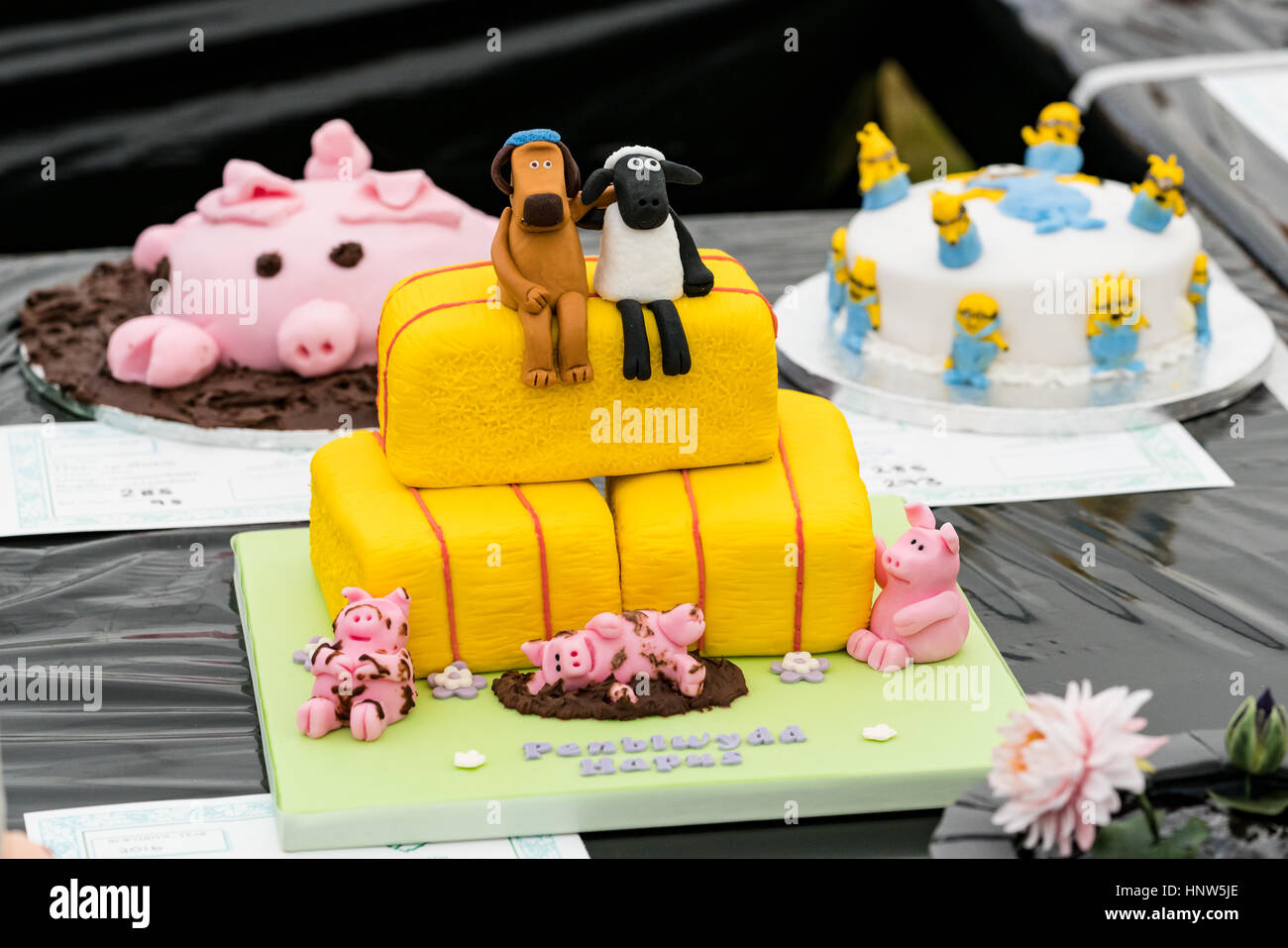 Entree Dans Le Gateau Anniversaire Competition A L Anglesey Show Photo Stock Alamy