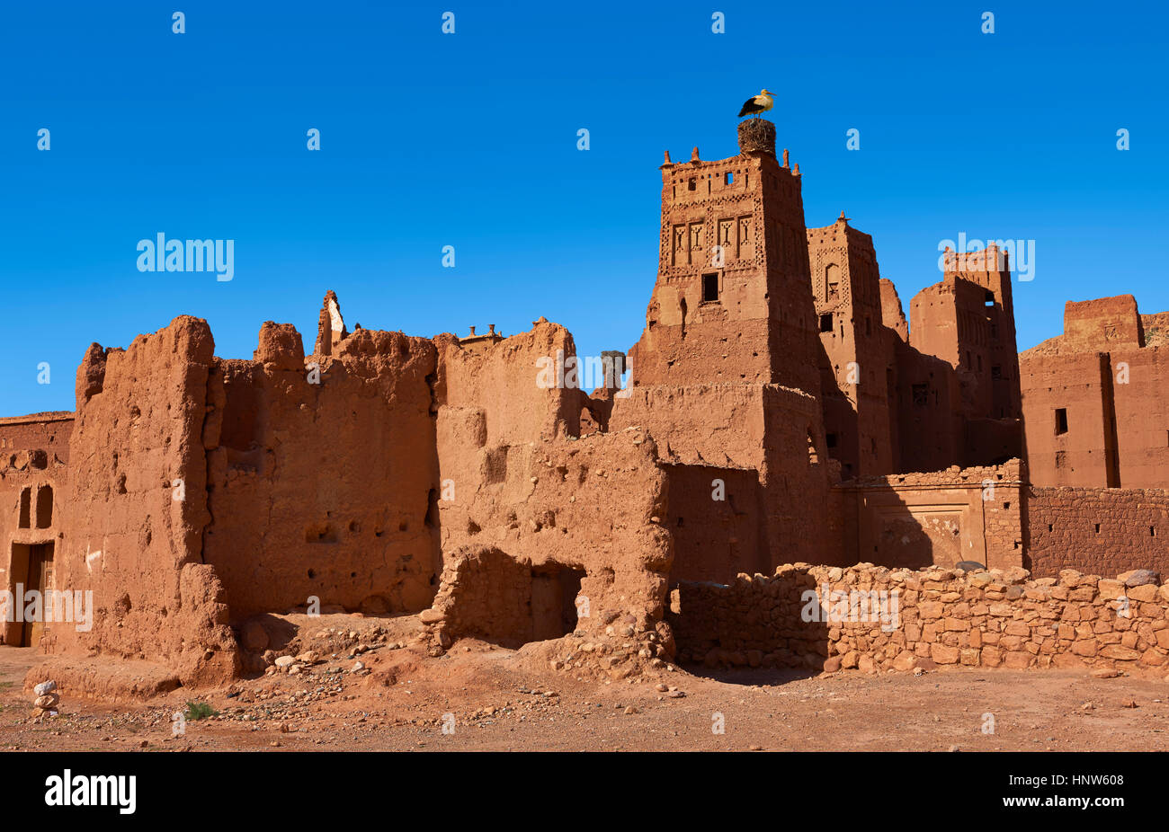 La nidification de la cigogne sur la Kasbah de Glaoui du Tamedaght dans l'ensemble de la vallée Ounilla entouré par la hammada (Stoney) désert dans les contreforts de l'Altas mo Banque D'Images