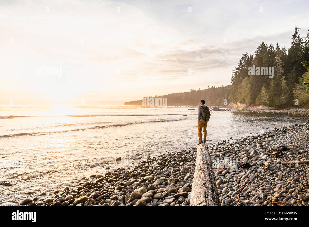 L'homme à partir de bois flotté sur la plage journal en parc provincial Juan de Fuca, l'île de Vancouver, Colombie-Britannique, Canada Banque D'Images