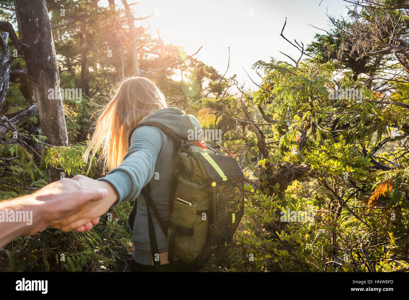 Female hiker menant petit ami à travers la forêt, parc national Pacific Rim, l'île de Vancouver, Colombie-Britannique, Canada Banque D'Images
