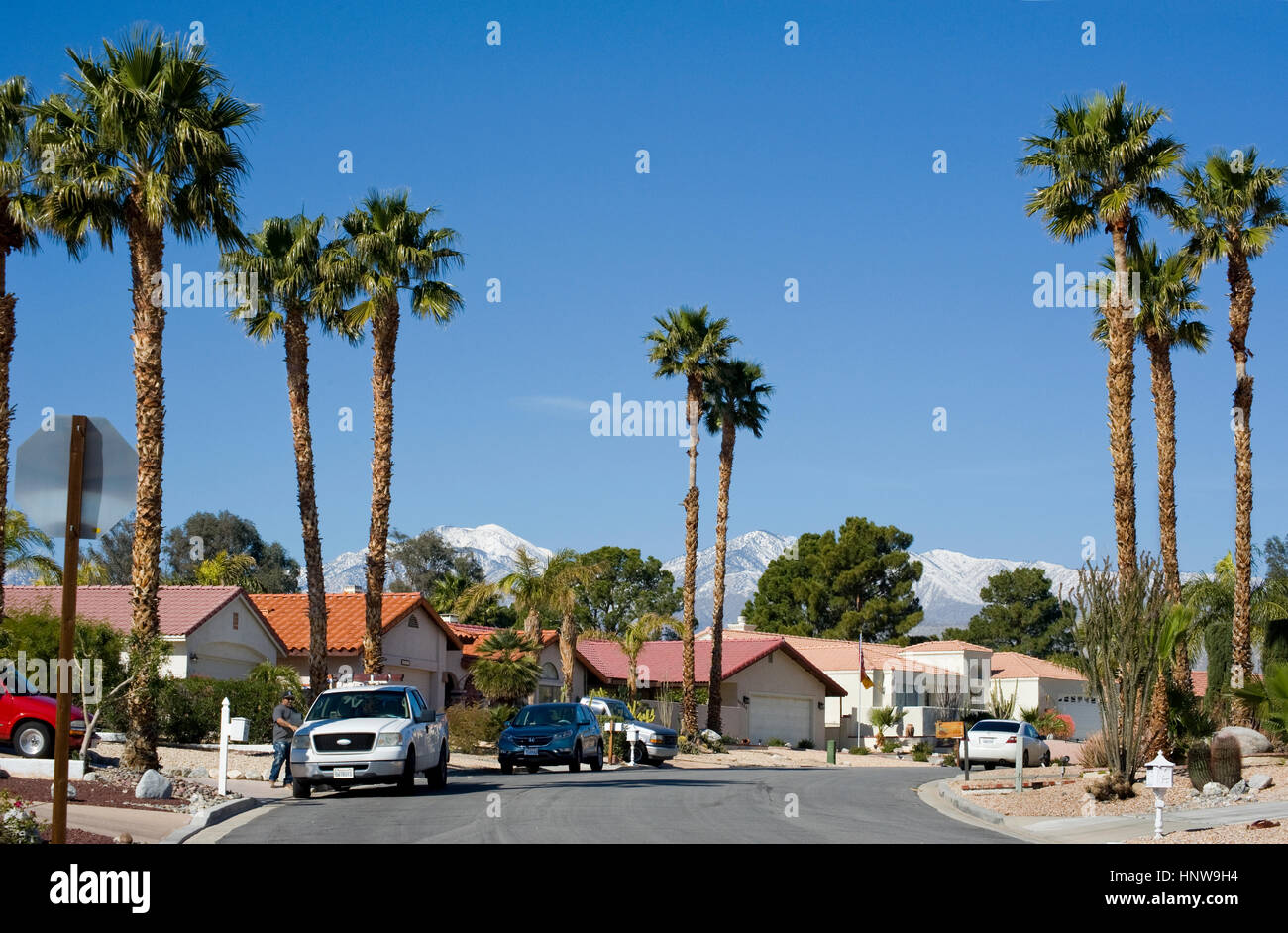 Les foyers avec des palmiers et de la neige sur les montagnes dans la région de Palm Desert, CA Banque D'Images