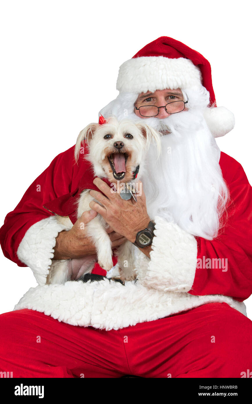 Père Noël avec des longs cheveux blancs petit chien isolé sur fond blanc Banque D'Images