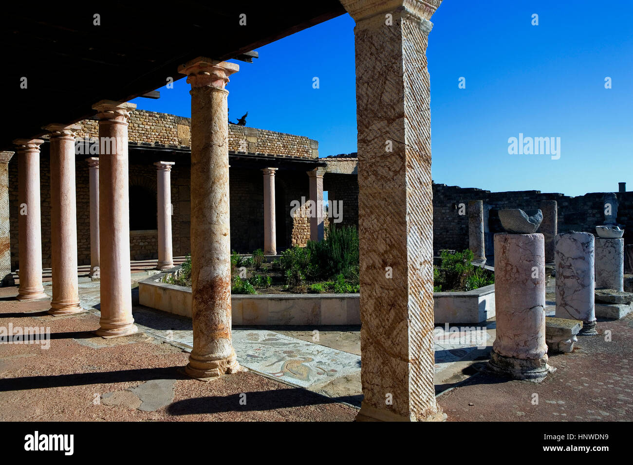 Tunez : Carthage.Villa romaine de la volière Banque D'Images