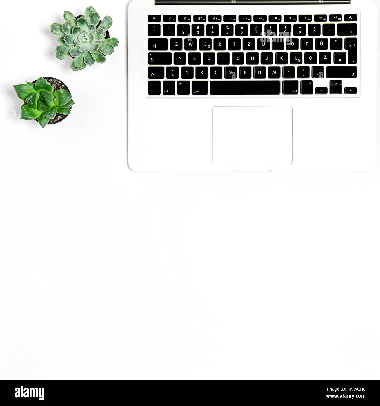 Ordinateur portable et plantes succulentes sur fond blanc. Mise à plat des maquettes. Image carré Banque D'Images