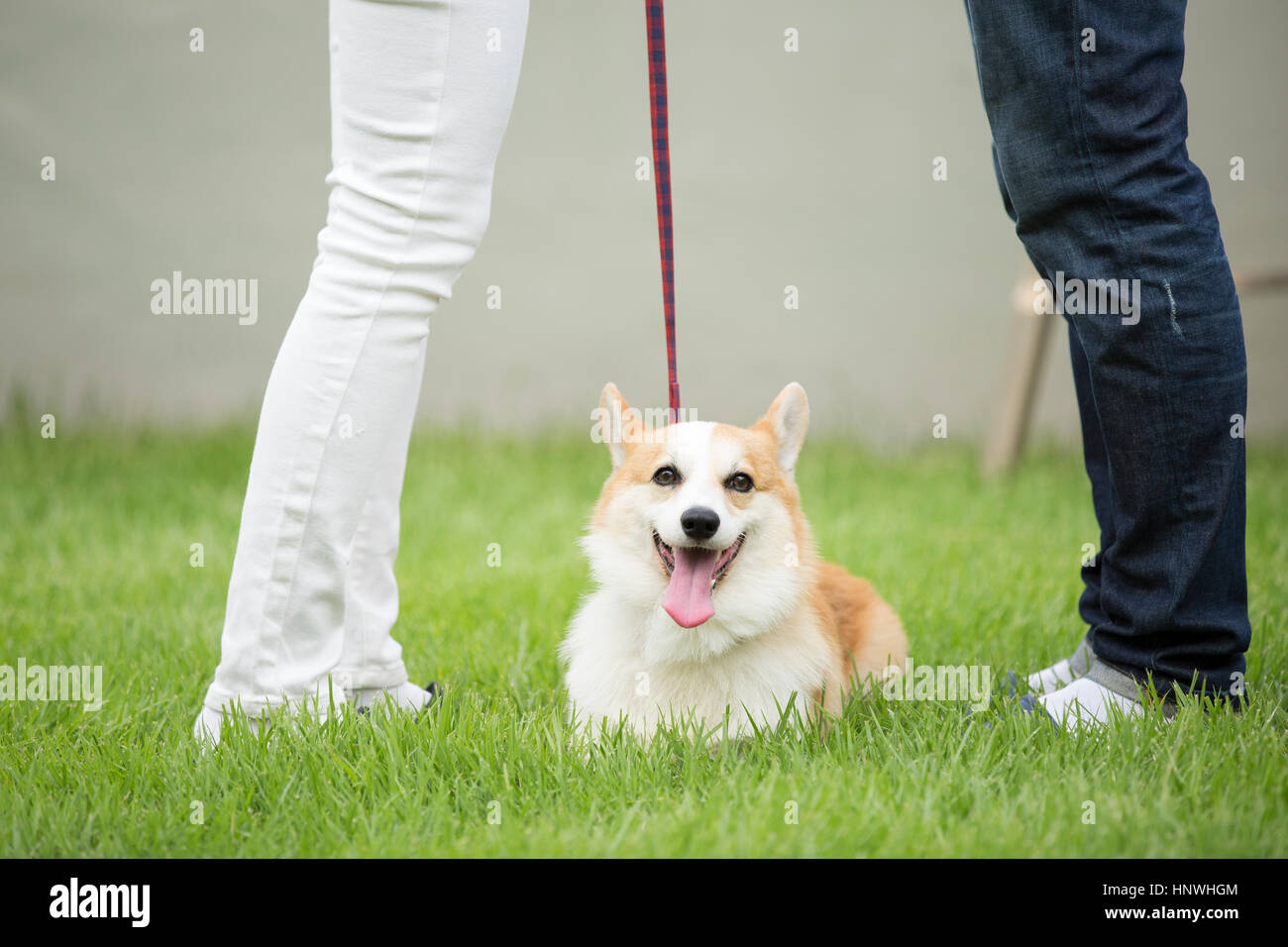 Jeune couple et chien Banque D'Images