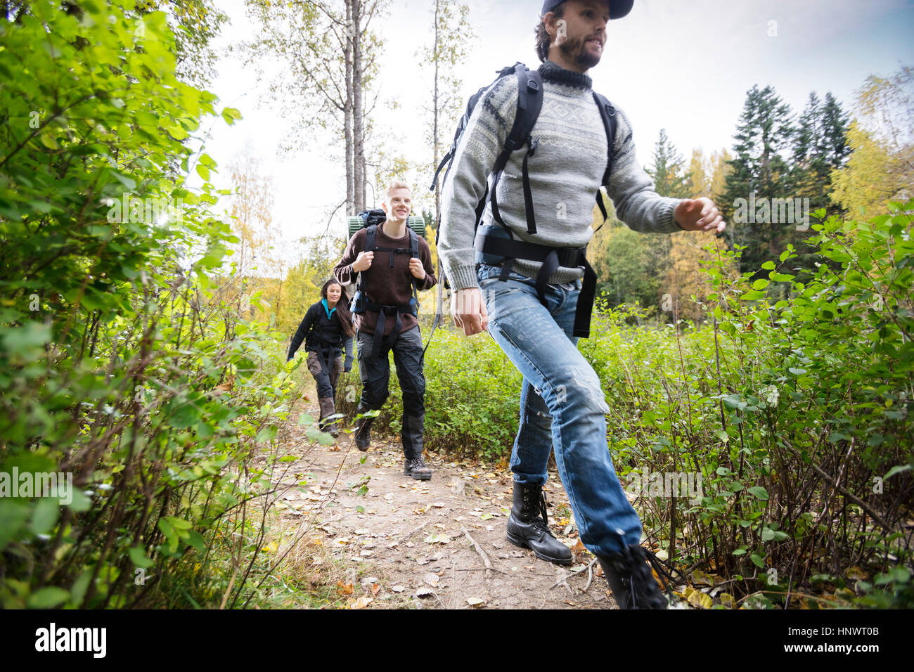 Jeune homme avec les amis de la randonnée sur sentier forestier Banque D'Images