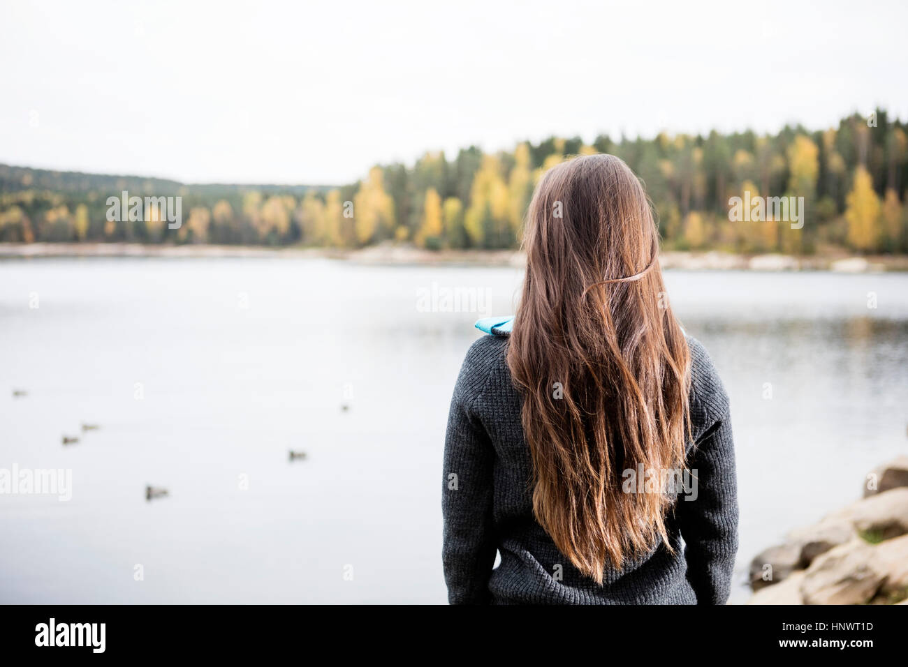 Young woman enjoying vue sur le lac Banque D'Images