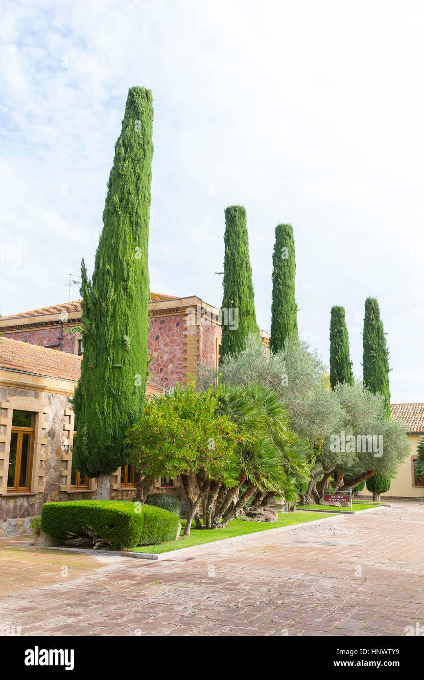 Le jardin de la Sella & Mosca vinery historique construit en 1903 près de Alghero, Sassari, Sardaigne Italie Banque D'Images