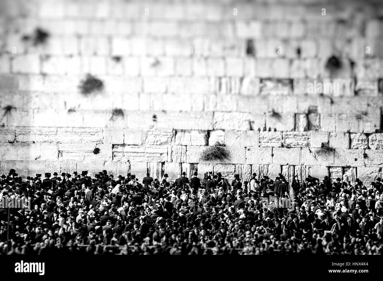 La prière au Mur des lamentations, Jérusalem, Israël. Banque D'Images