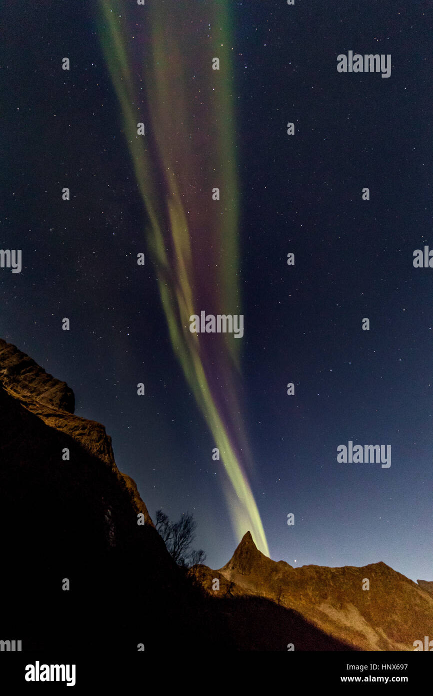 Northern Lights (aurores boréales) vu sur l'île de Senja en automne, la Norvège arctique Banque D'Images