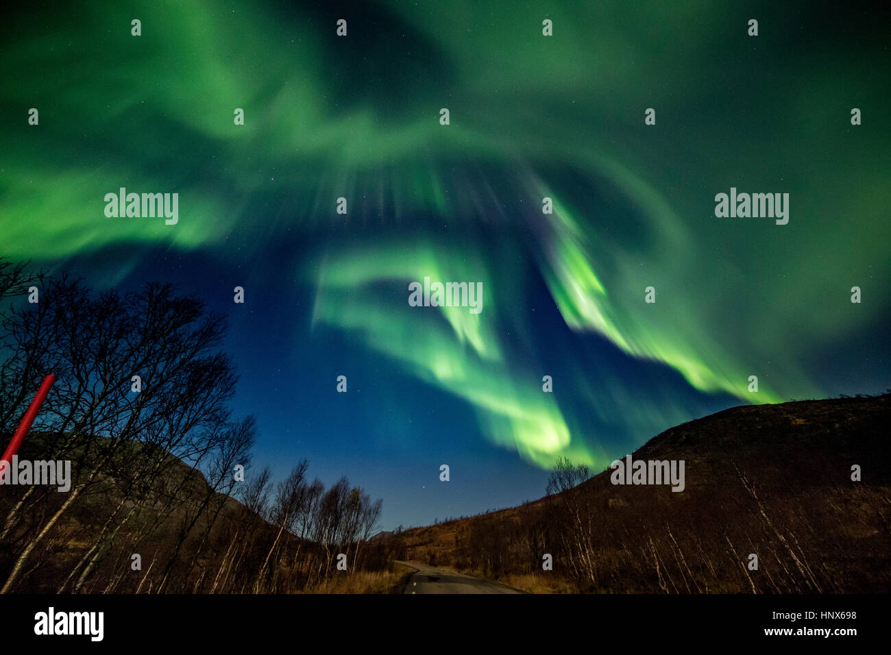 Northern Lights (aurores boréales) vu sur l'île de Senja en automne, la Norvège arctique Banque D'Images