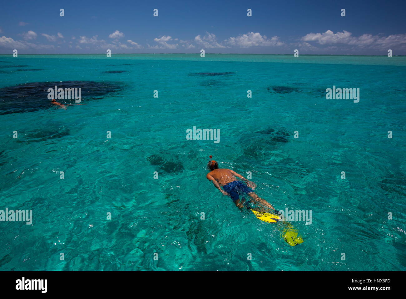 Man snorkeling en mer, l'Ile aux Cerfs, Ile Maurice Banque D'Images
