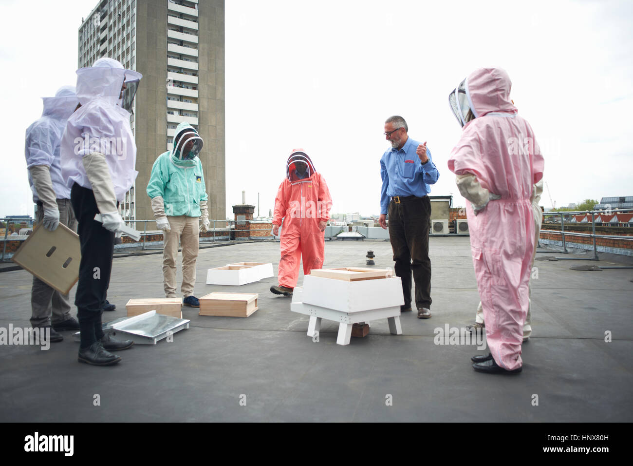 Session de formation sur l'Apiculture toiture du bâtiment Banque D'Images