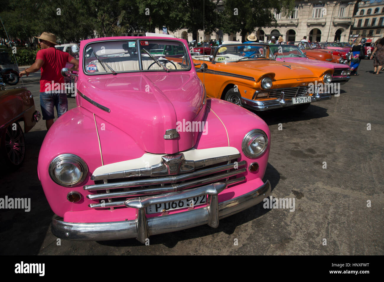 Entièrement restauré, peint de couleurs vives, de l'Amérique des années 50 voitures garées ensemble dans Centro Havana Cuba Banque D'Images