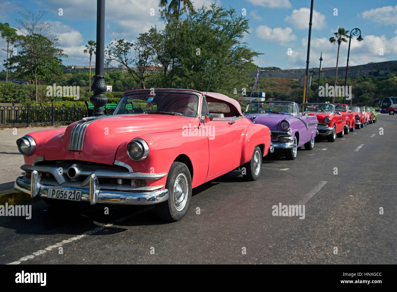 Entièrement restauré, peint de couleurs vives, de l'Amérique des années 50 voitures garées ensemble dans la Habana Vieja Cuba Banque D'Images