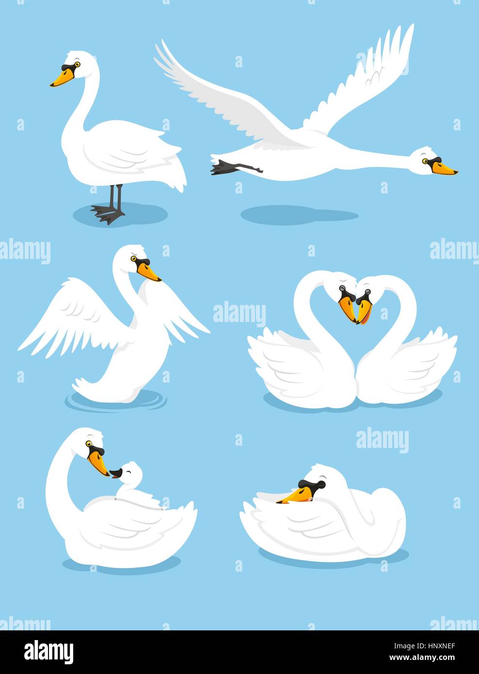 Cygne blanc eau aile animaux oiseaux élégance Grace Set, vector illustration cartoon. Illustration de Vecteur