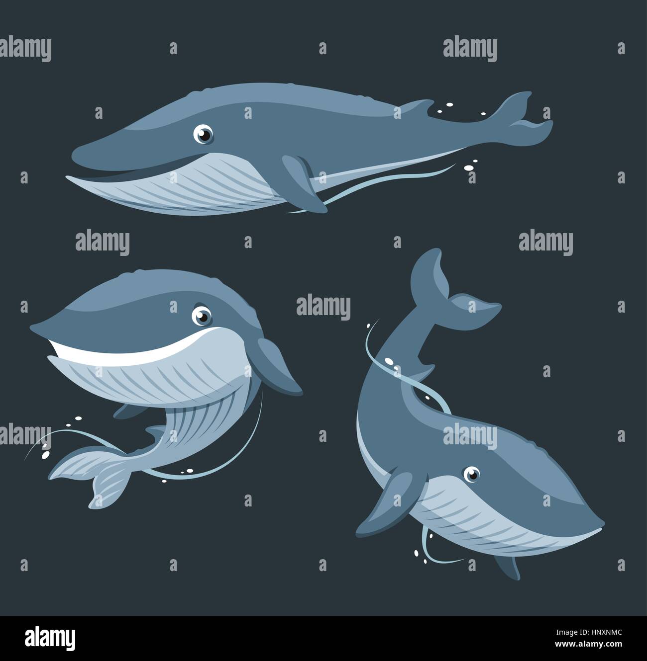 Rorqual bleu ensemble des Mammifères aquatiques, vector illustration cartoon. Illustration de Vecteur