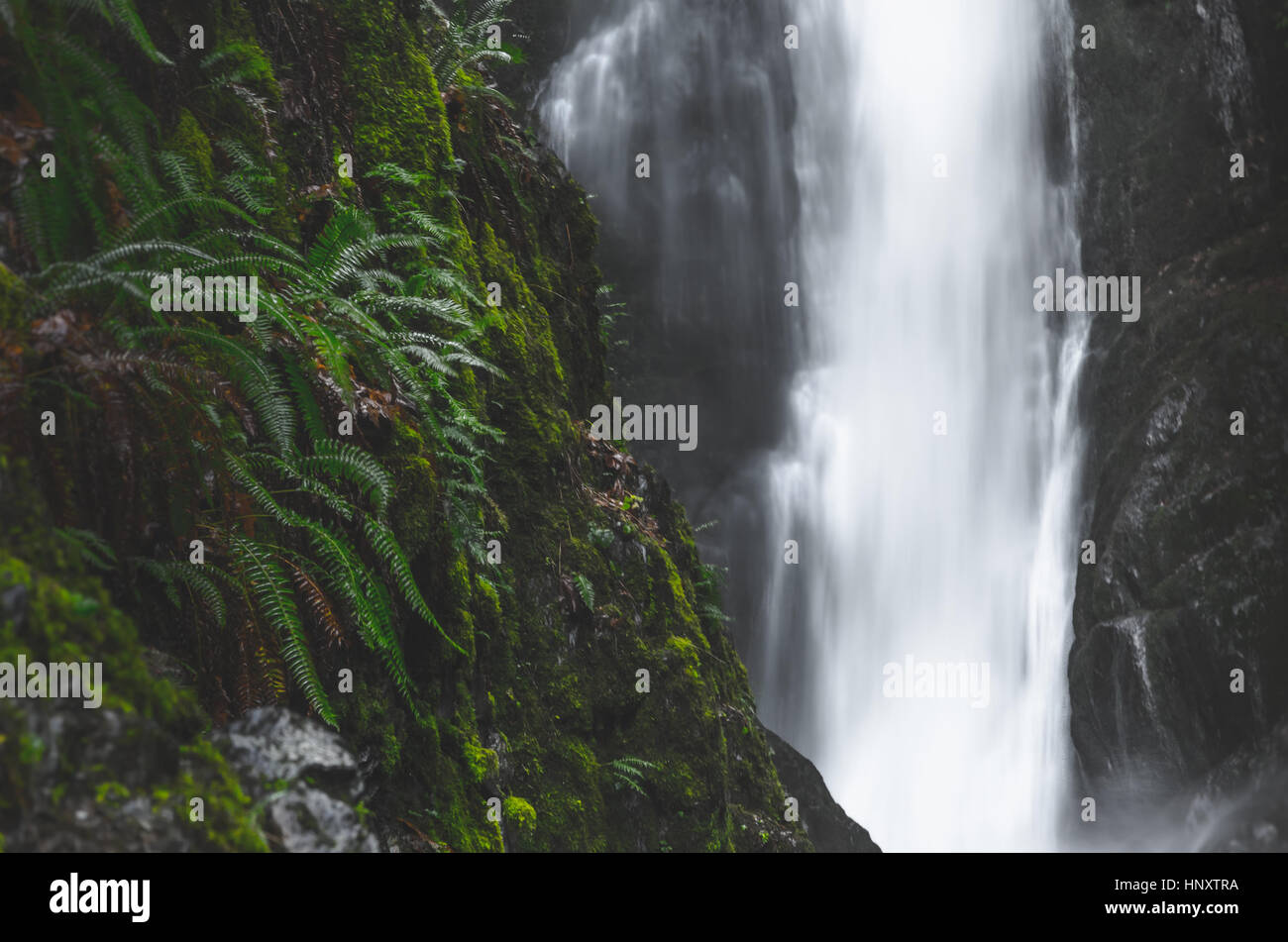 Cascade dans un écrin de forêt tropicale Banque D'Images