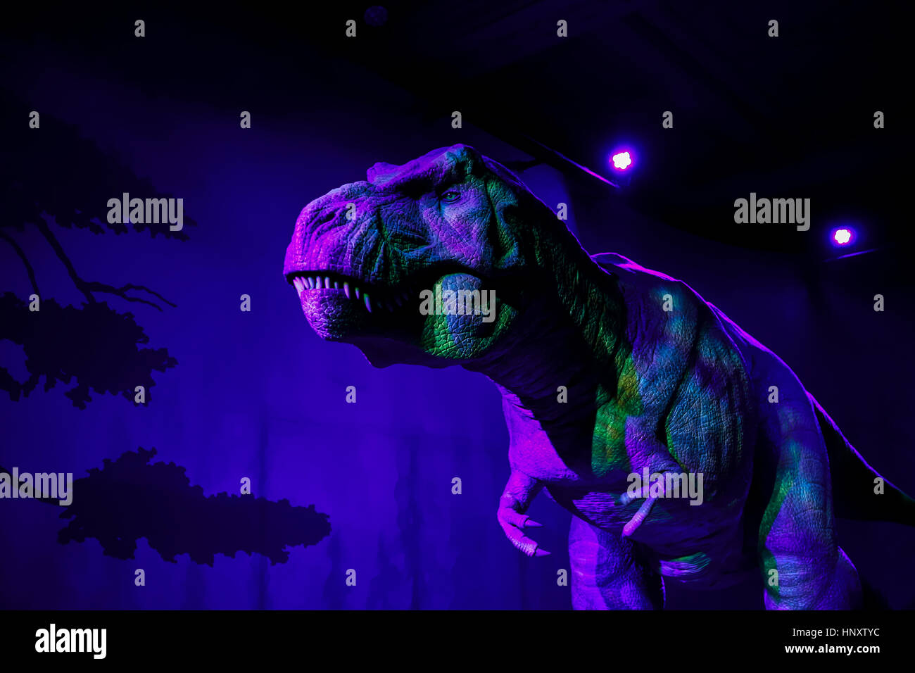 Tyrannosaurus rex animé dans le cadre d'une exposition de dinosaures au Musée d'Histoire Naturelle, South Kensington, Londres Banque D'Images