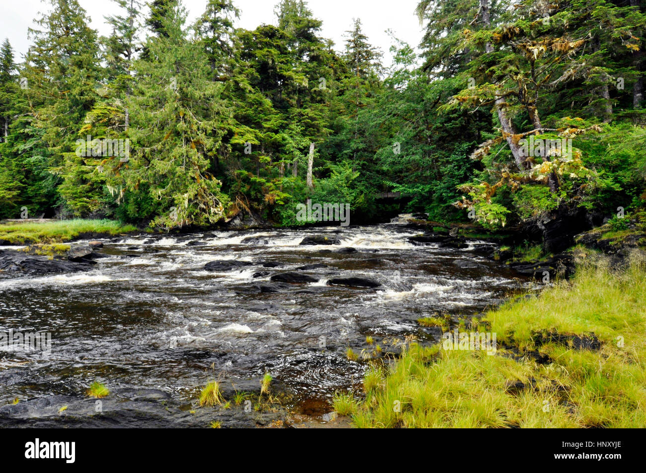 Voir un paysage de l'Alaska, sotheast la forêt nationale tongass Banque D'Images