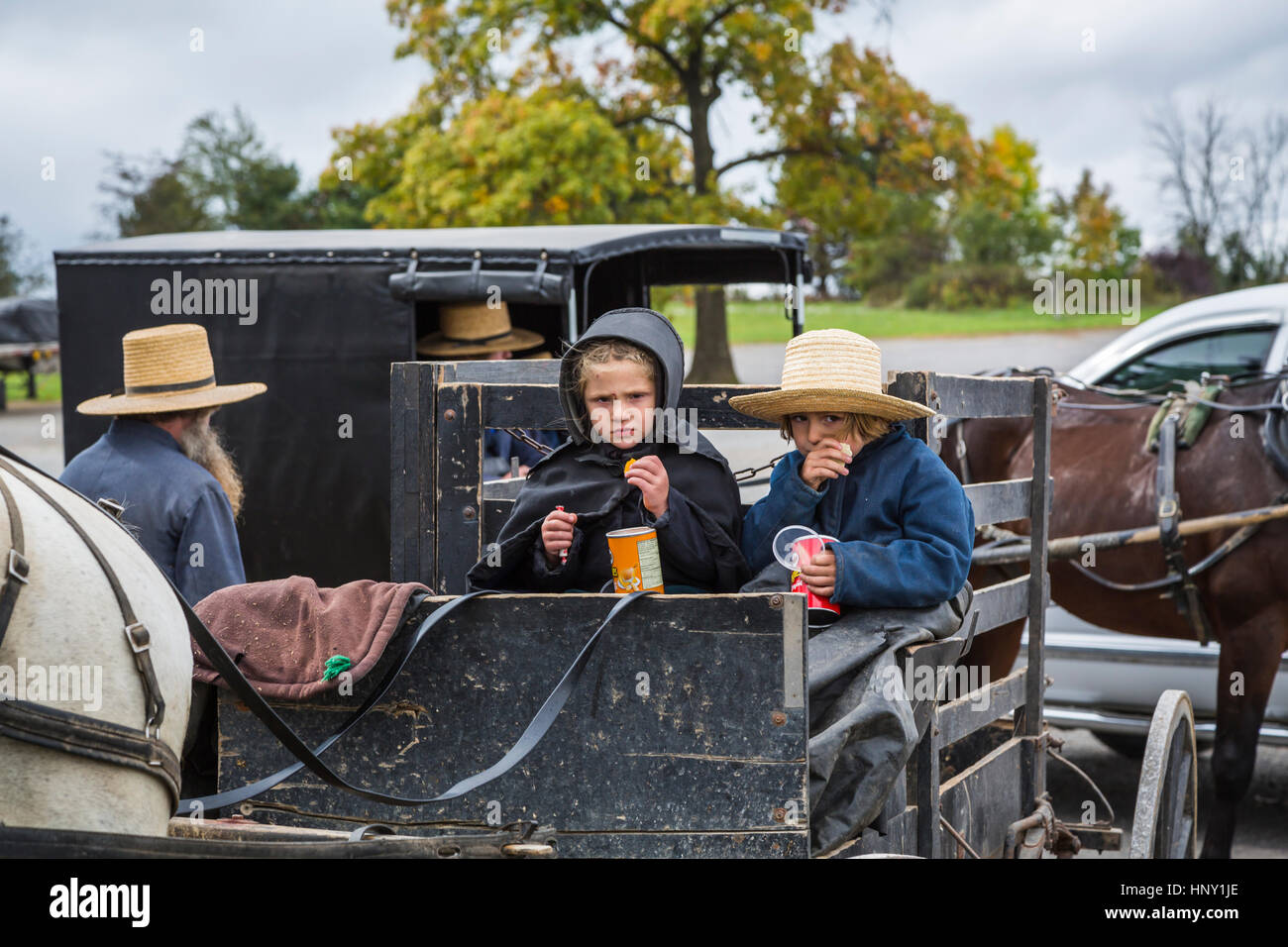 Les enfants Amish avec cheval et buggies à un poste de relais dans la région de Dalton, Ohio, USA. Banque D'Images