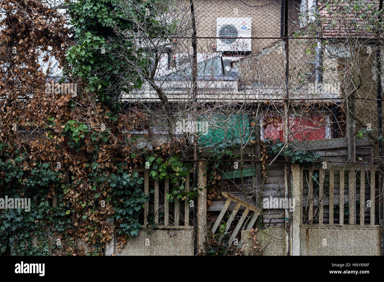 Mur délabré et jardin à Clapham, dans le sud de Londres, Angleterre, Royaume-Uni. Banque D'Images