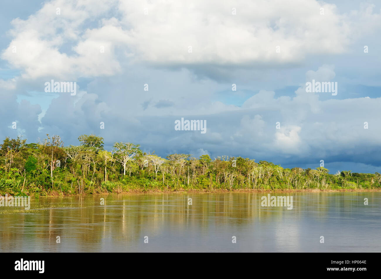 Le Pérou, l'Amazonie péruvienne paysage. La photo présente des reflets de Maranon river Banque D'Images