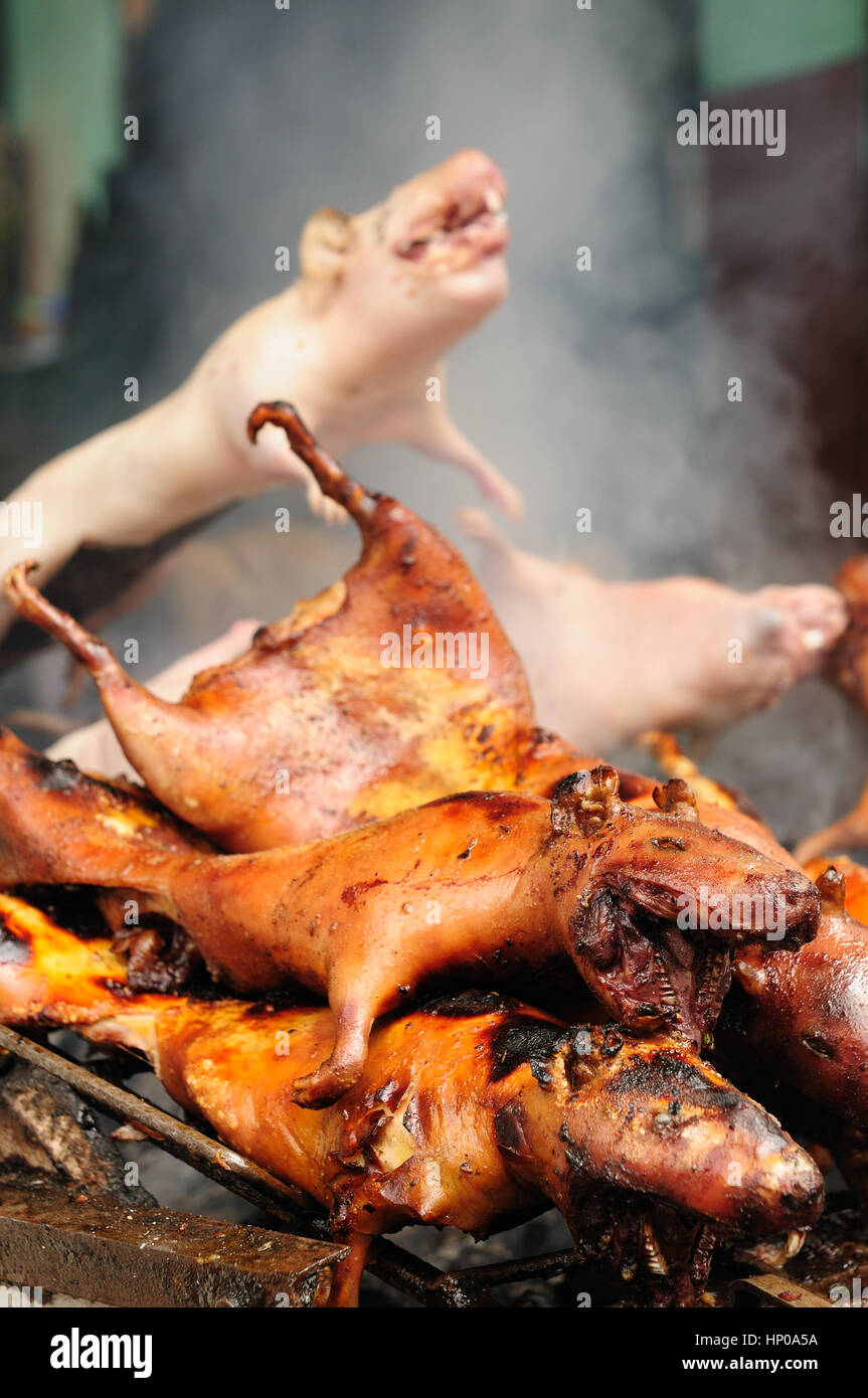 De délicieux mets traditionnels de l'Amérique du Sud , cochon rôti (cuy), de l'Équateur Banque D'Images