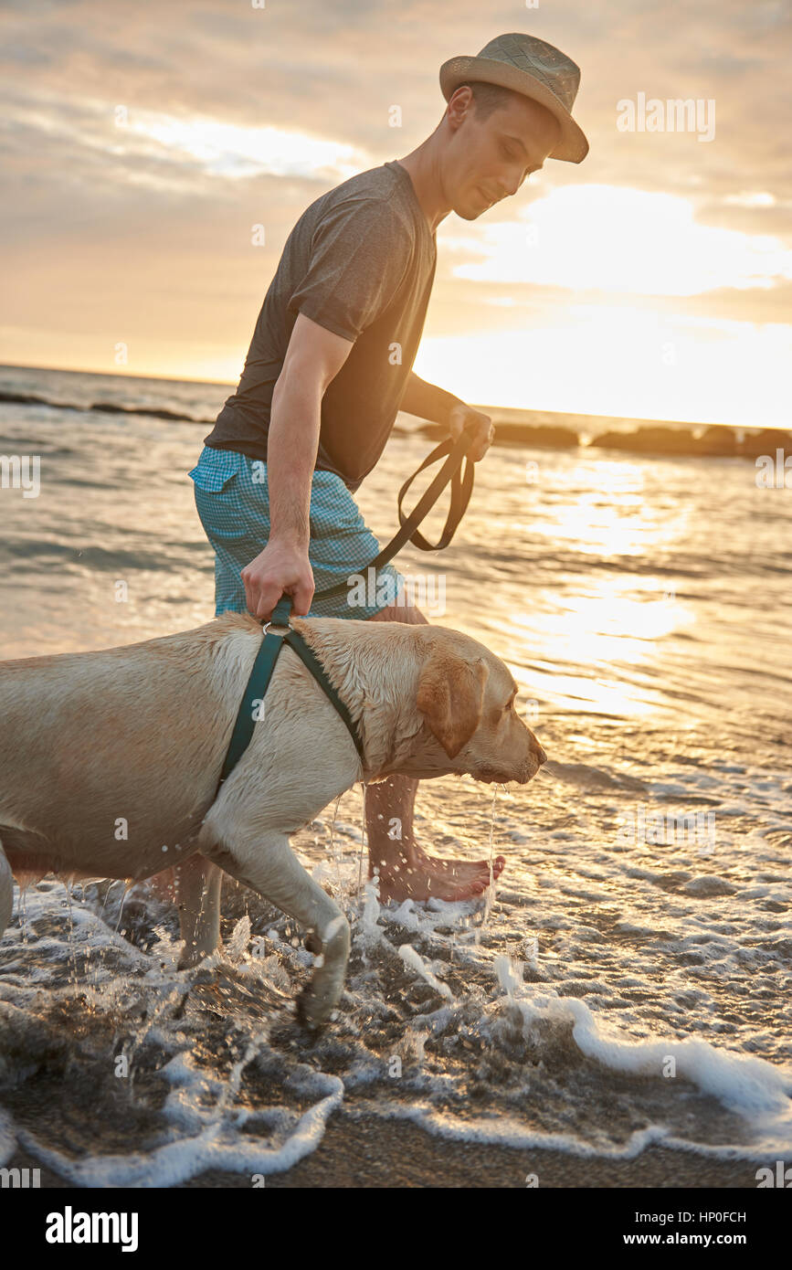 Homme marchant avec chien sur Ocean Beach pendant le coucher du soleil Banque D'Images