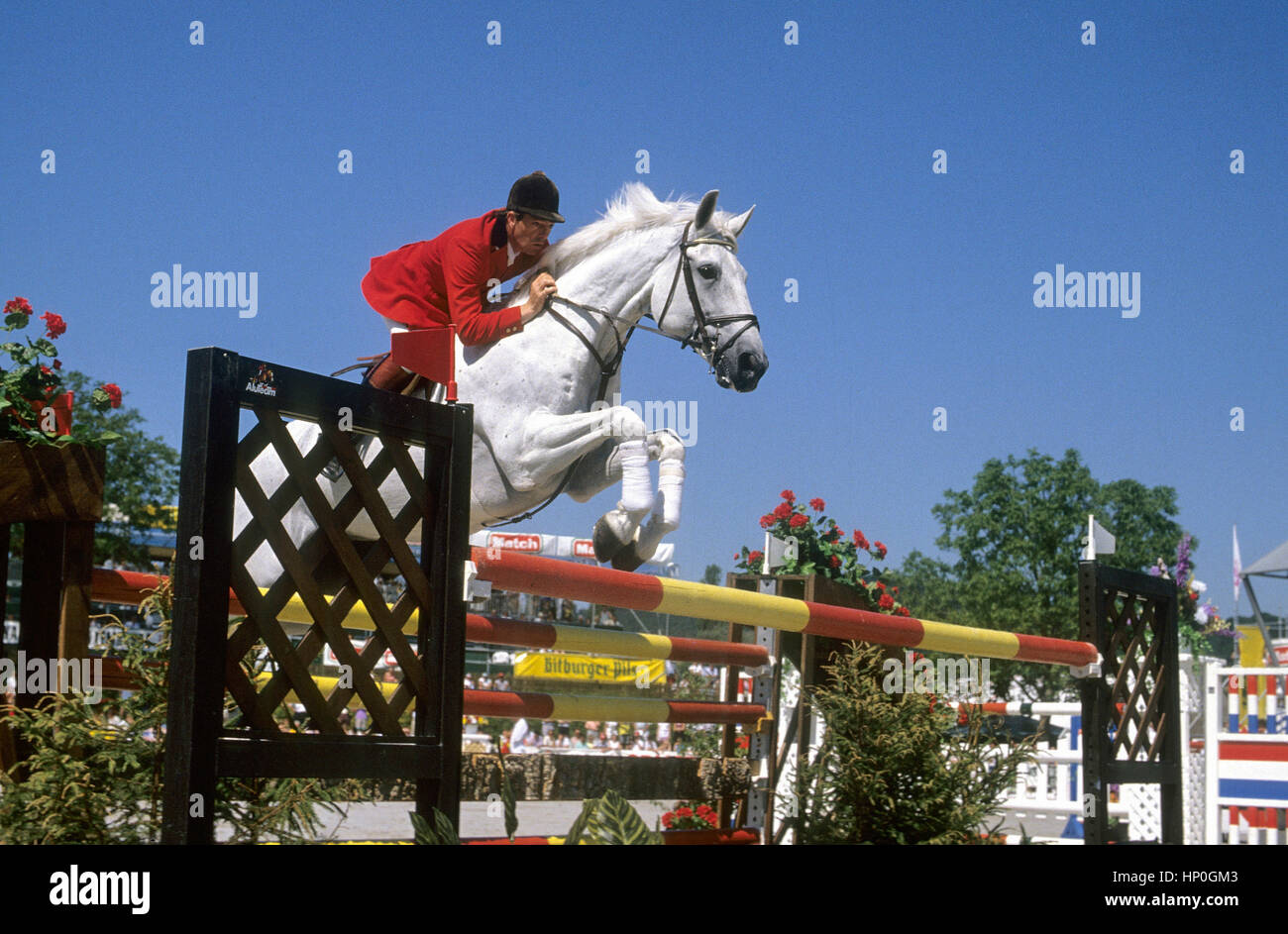 John Whitaker pour Femme Miami pour Femme équitation pour Femme S Bleu
