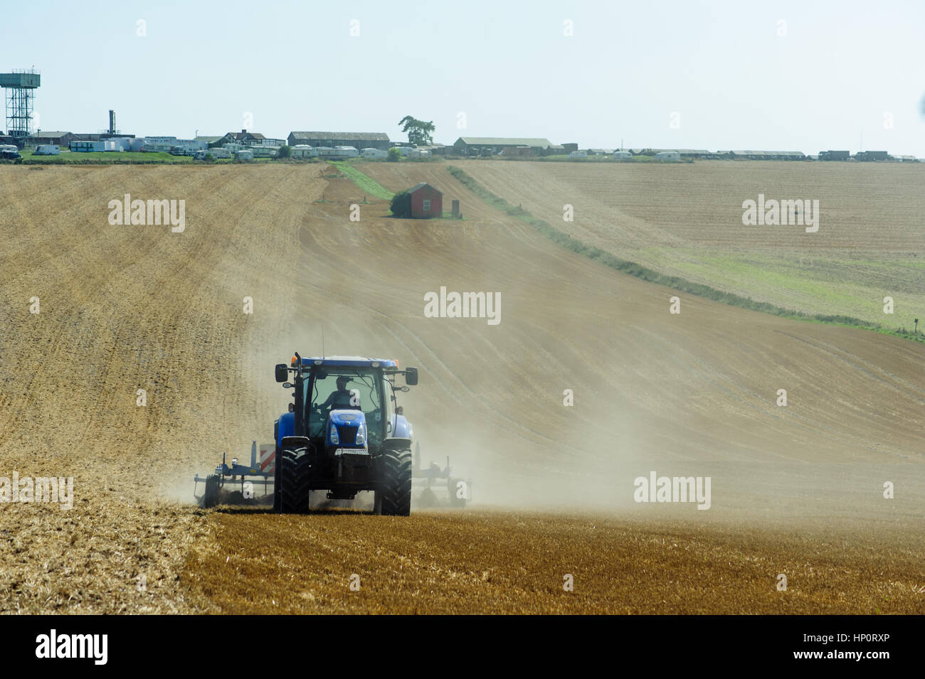 Couper le gazon en tracteur Banque D'Images
