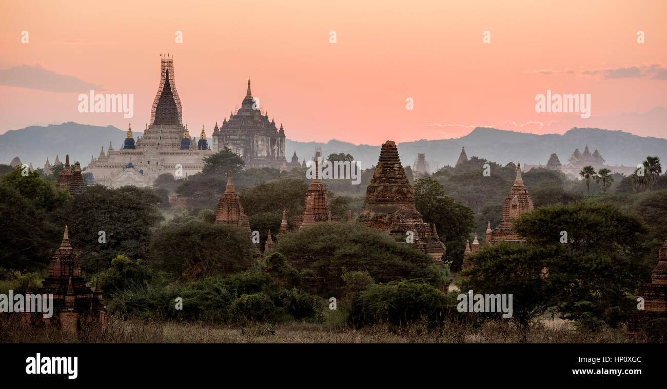 Coucher de soleil à Bagan avec ciel rose au-dessus de certains des stupas et temples qui couvrent la terre dans cette partie du Myanmar Banque D'Images