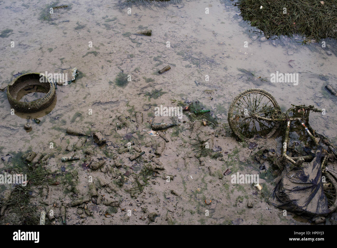 Cours d’eau pollué Banque D'Images