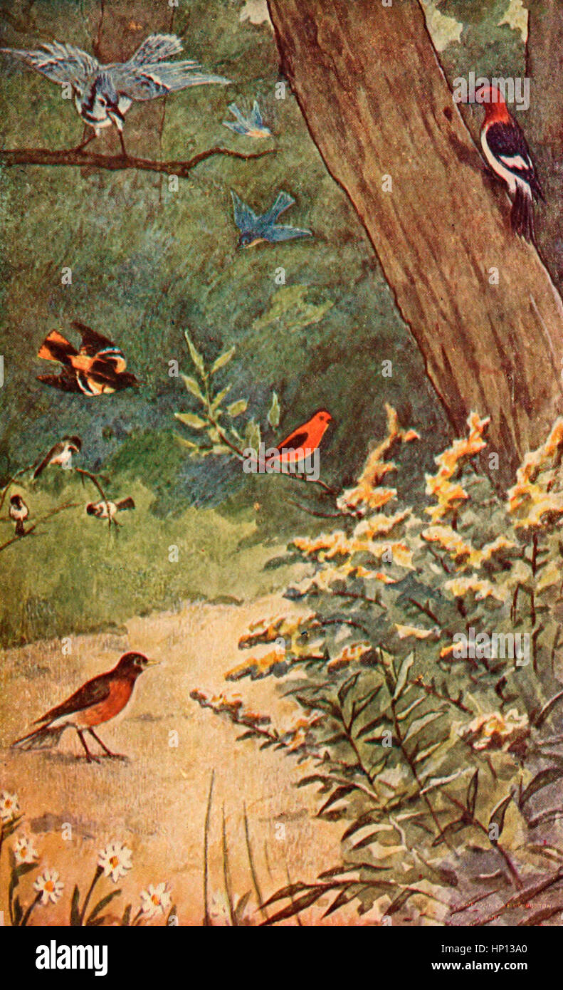 Tirés de chaque oiseau sa langue - à la poésie épique, le chant de Hiawatha Banque D'Images