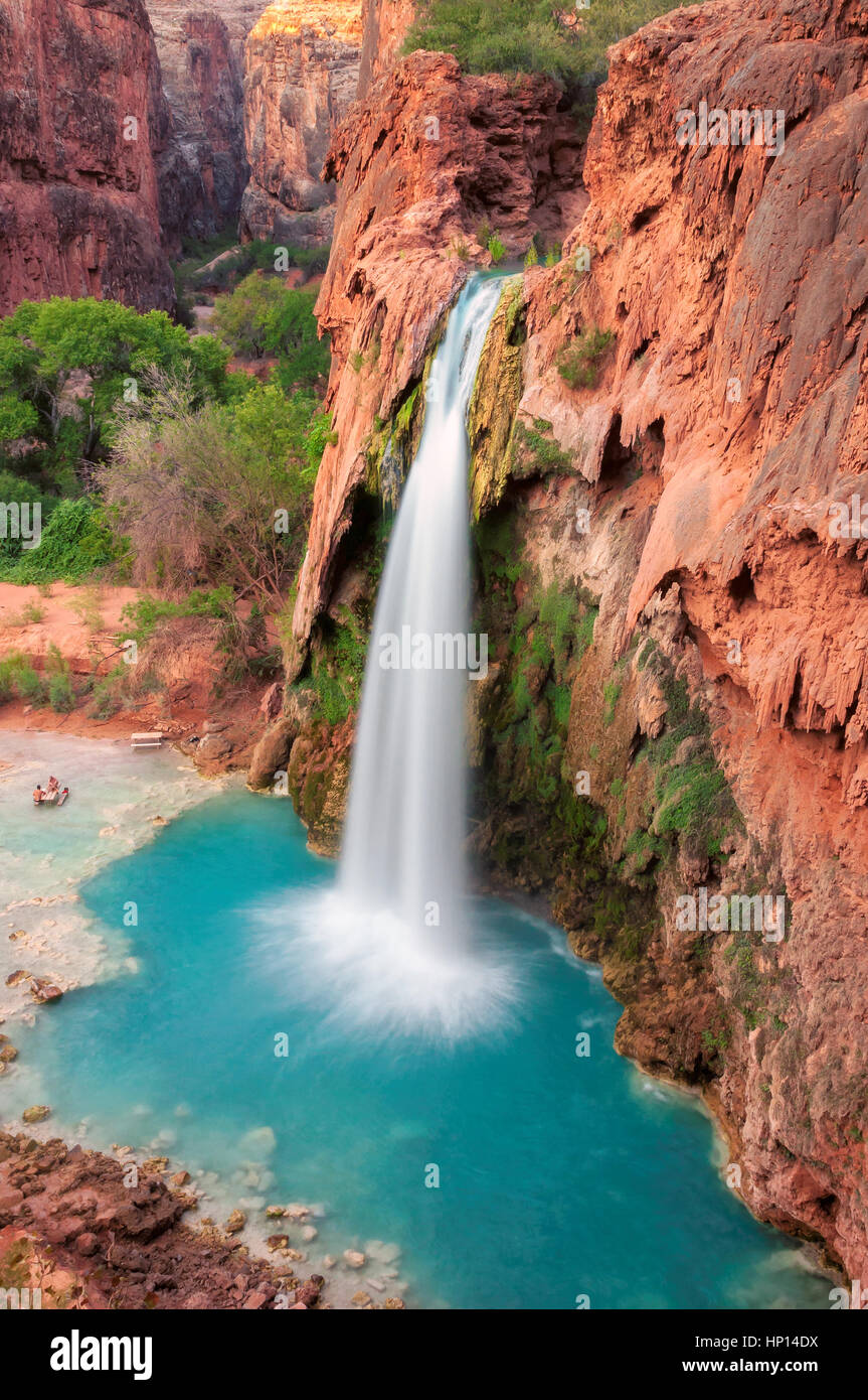 Havasu Falls, chutes d'eau dans le Grand Canyon, Arizona Banque D