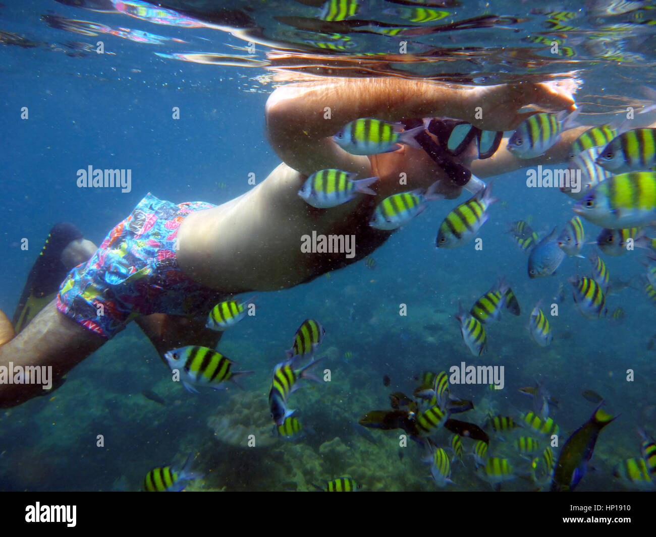 La plongée à Koh Rok dans le Lanta Marine National Park. Koh Lanta. Krabi. La Thaïlande. Plongée libre : disponible toute l'année, sous réserve de conditions météorologiques et de la mer Banque D'Images