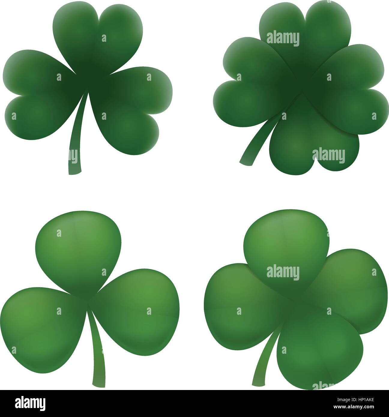 Trèfle vert feuilles réalistes. Illustration de Vecteur