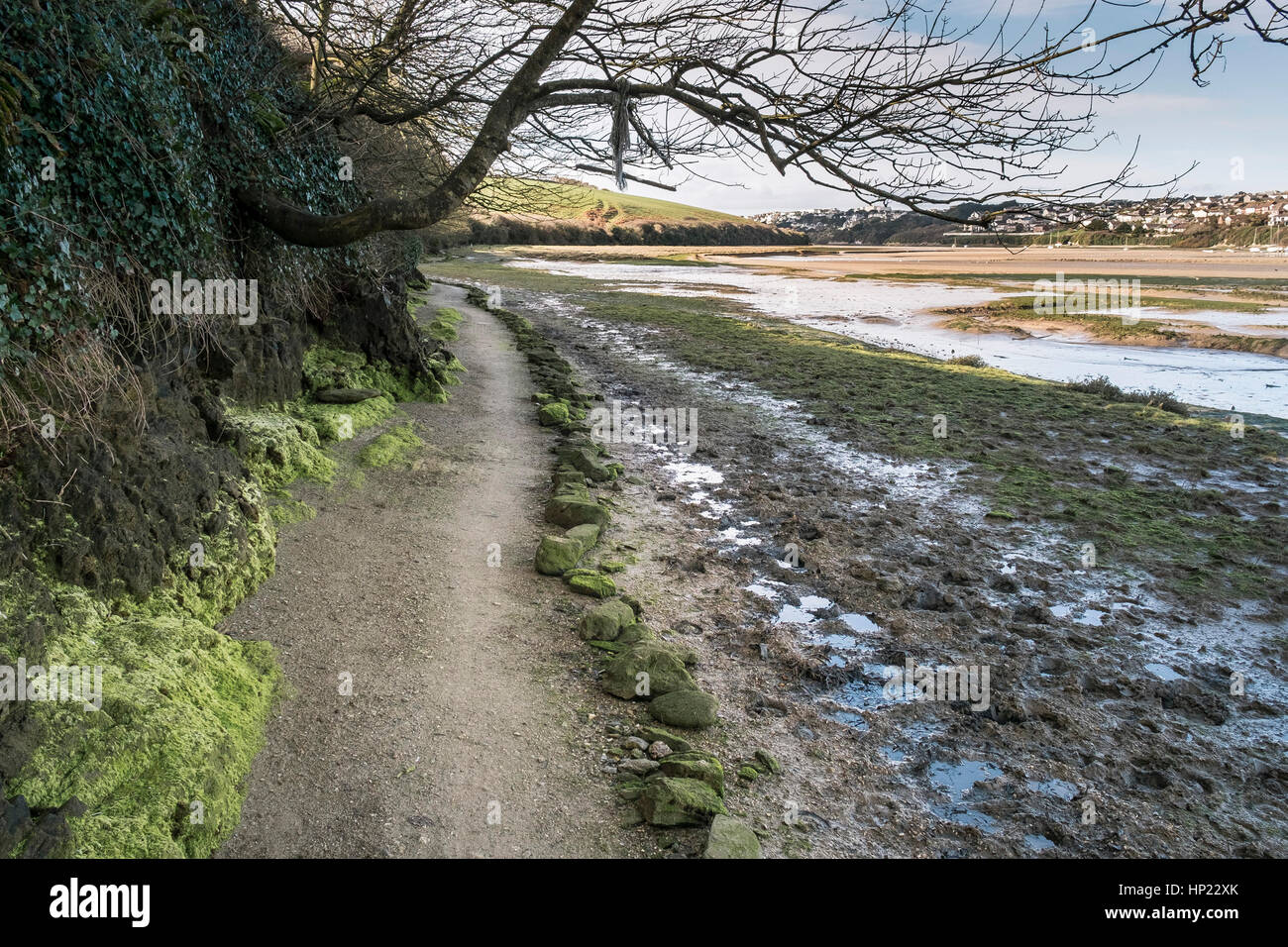 Un sentier à côté d'une patte d'façon près de la rivière gannel. newquay ; Angleterre ; uk. Banque D'Images