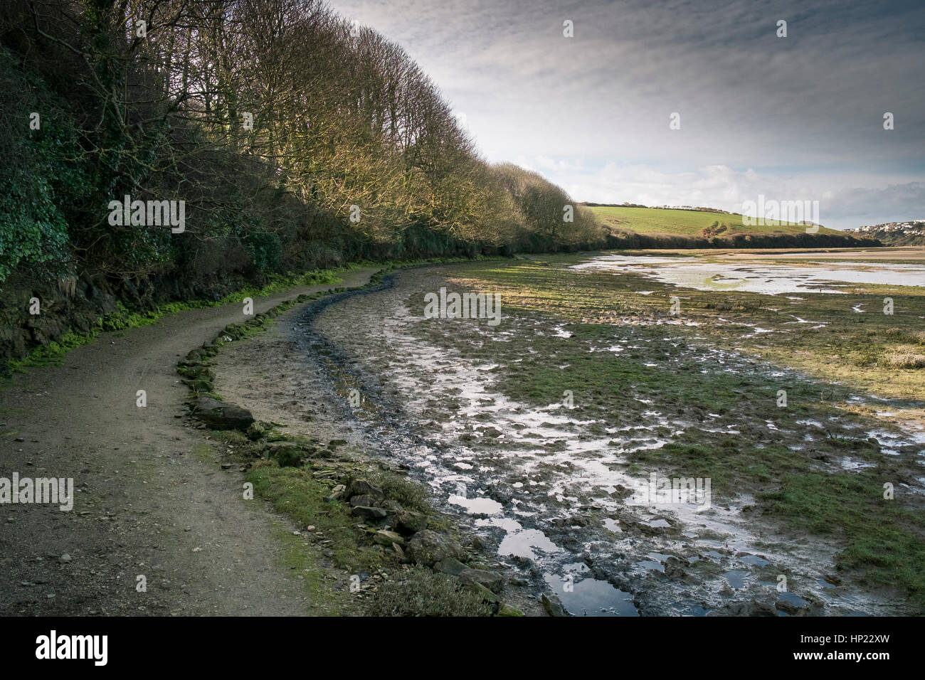 Un sentier à côté d'une patte d'façon près de la rivière Gannel. Newquay, Angleterre, Royaume-Uni. Banque D'Images