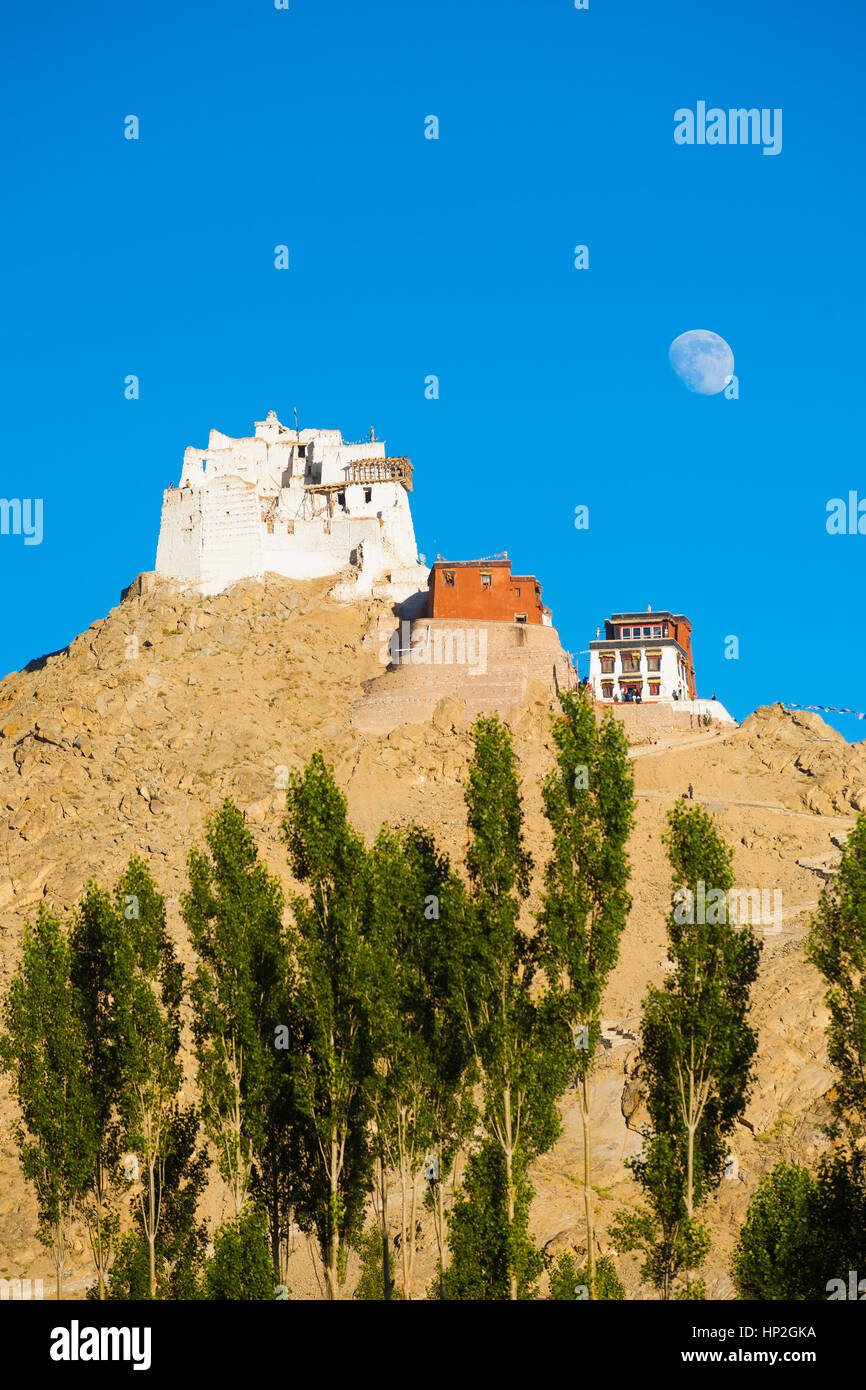 Tsemo Château et Namgyal Tsemo Gompa au sommet d'une montagne avec les phases vu de loin au téléobjectif à Leh, Ladakh, Inde. La verticale Banque D'Images
