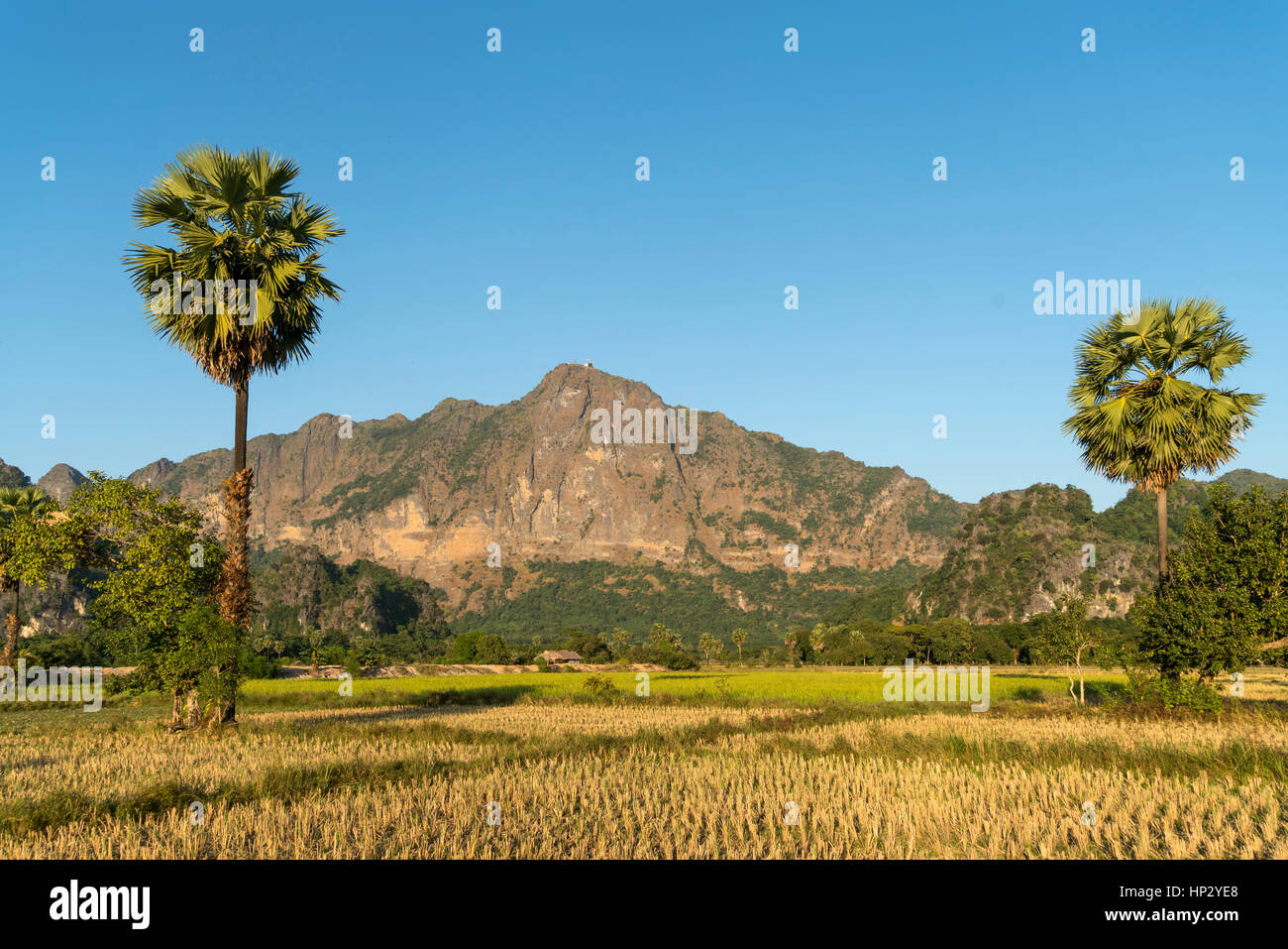 Reisfelder und der Berg Zwegabin, Hpa-an, Myanmar, Asien | Champs de riz et le mont Zwegabin, Hpa-an, Hpa-an, au Myanmar, en Asie Banque D'Images