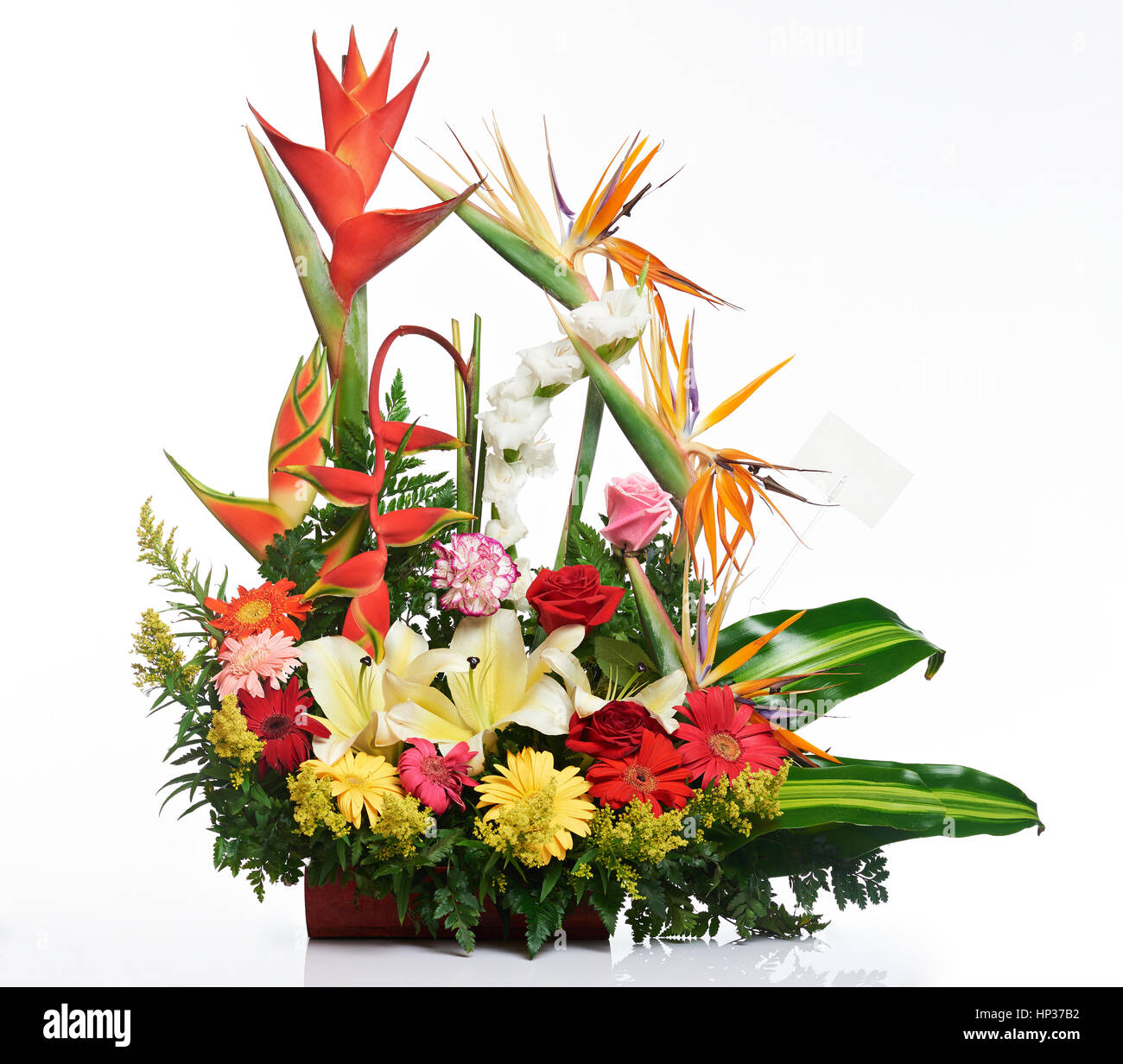 Bouquet de fleurs tropicales isolé sur fond blanc Photo Stock - Alamy
