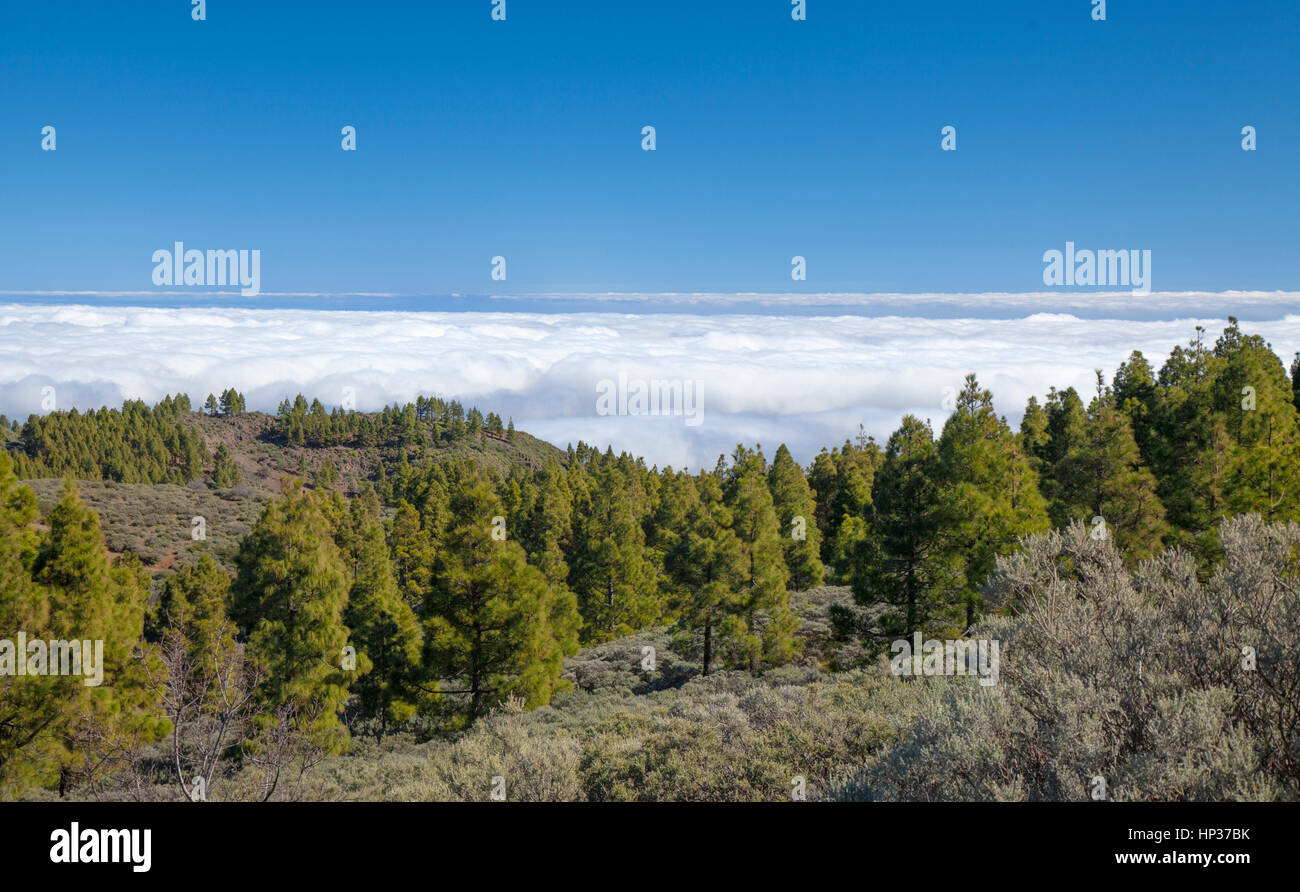 Cruz del socorro Banque de photographies et d’images à haute résolution