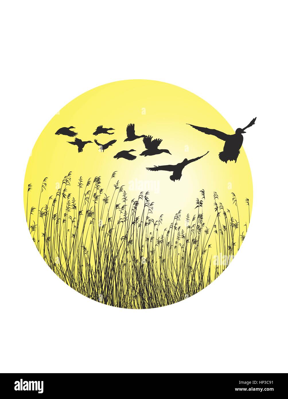 Un projet de circulaire de roseaux et paysage-vol d'oies sauvages Illustration de Vecteur